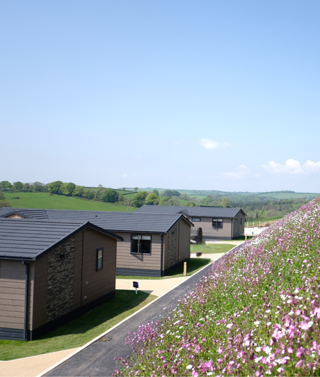 Samphire Cove Hero Image