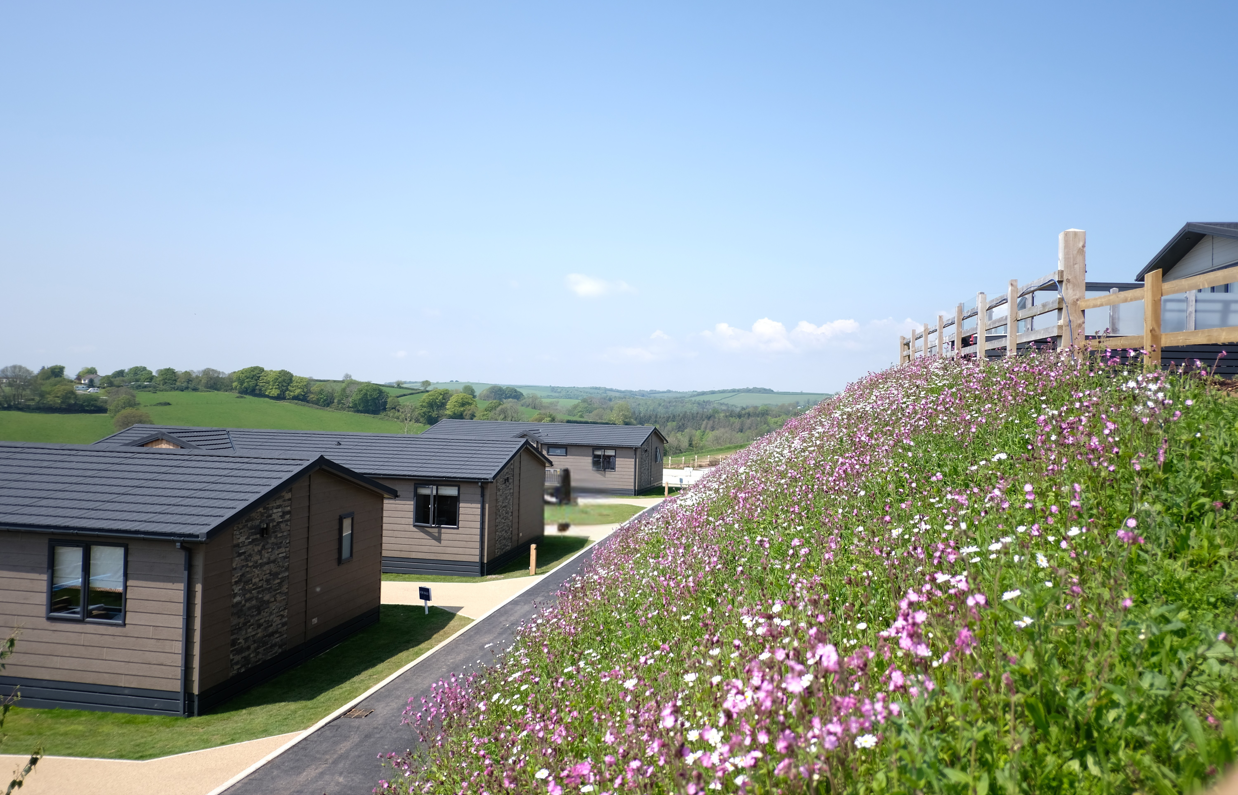 Samphire Cove Hero Image