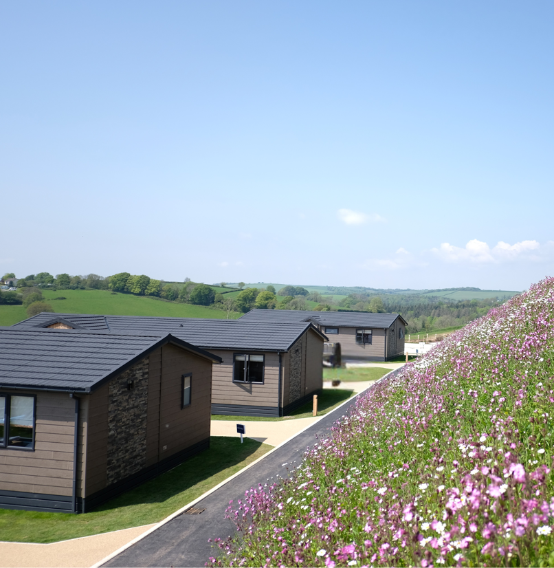 Samphire Cove Hero Image