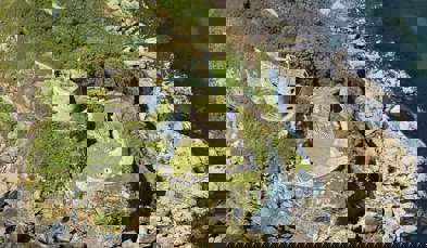 Aerial shot of St Catherine's Castle on the coast with blue waters