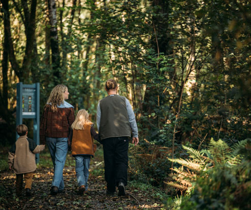 A family of four walking in the woods