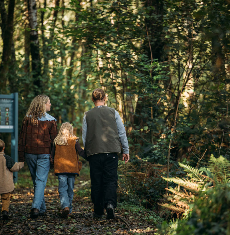 A family of four walking in the woods