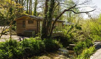 A holiday lodge among woodland alongside a stream surrounded by trees
