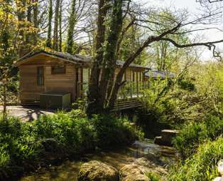A holiday lodge among woodland alongside a stream surrounded by trees