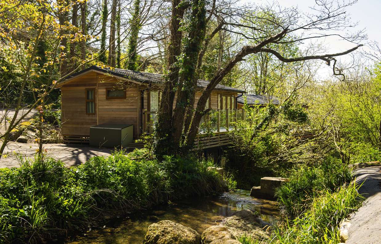 A holiday lodge among woodland alongside a stream surrounded by trees