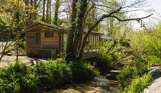 A holiday lodge among woodland alongside a stream surrounded by trees