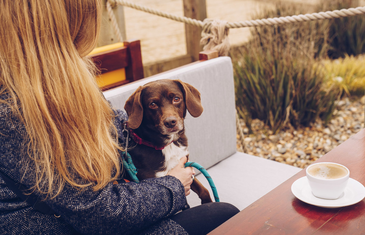 A small brown dog sat on a bench beside a woman with blonde hair with a coffee on the table