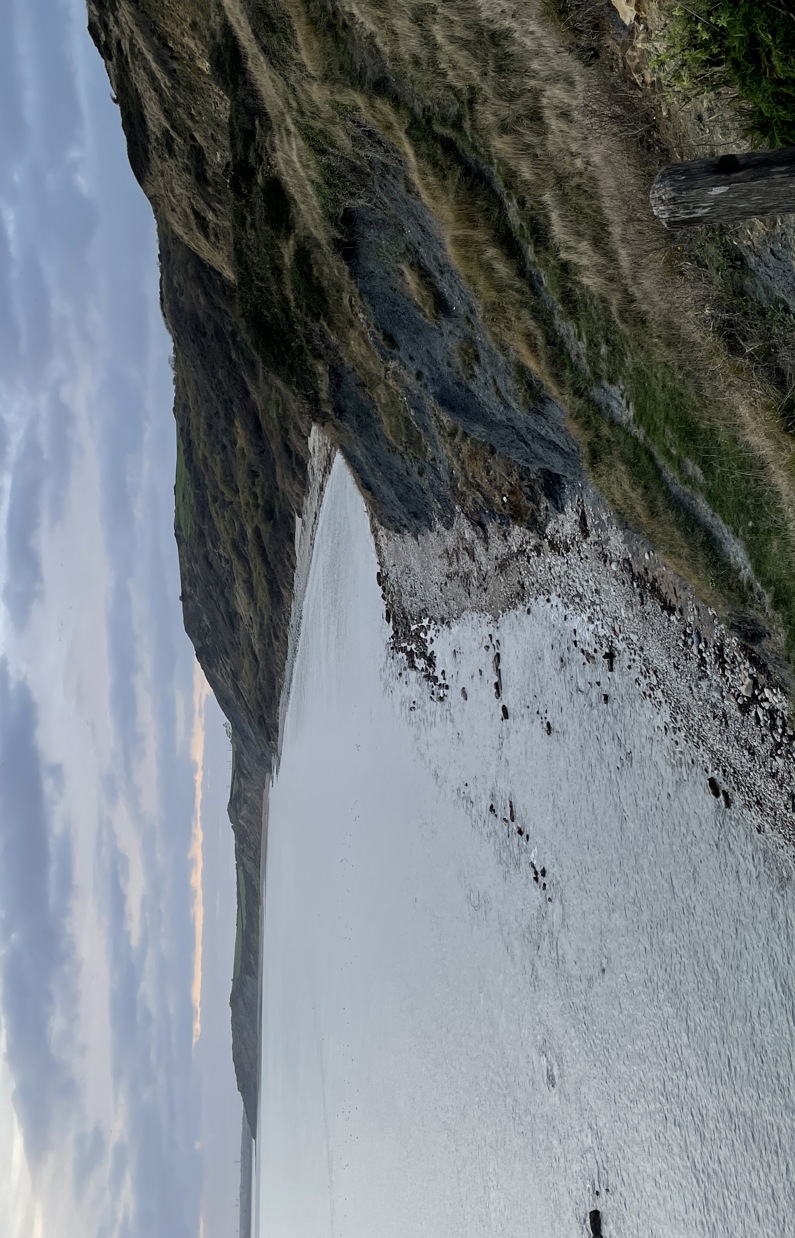 A Cliffpath on the Jurassic Coastline
