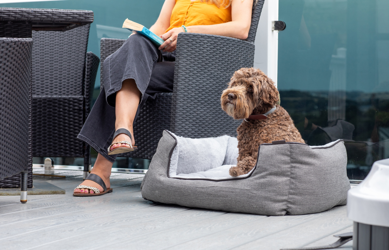 A small brown cockapoo sat in a dog bed on the decking of a lodge at Tregoad Holiday Park beside a woman with blonde hair sat in an outdoor chair with a book