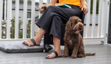 A small brown cockapoo sat beside a woman with blonde hair sat in an outdoor chair on the decking of a lodge at Tregoad Holiday Park 