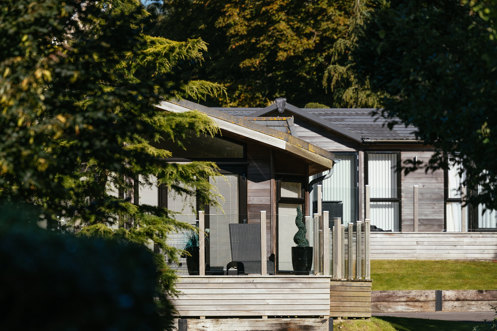Holiday lodges among woodland on a sunny, blue sky day