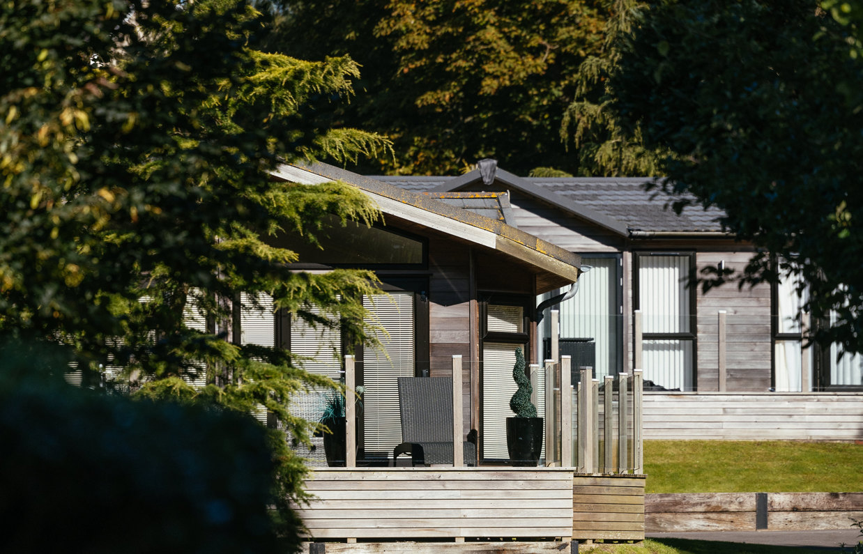 Holiday lodges among woodland on a sunny, blue sky day