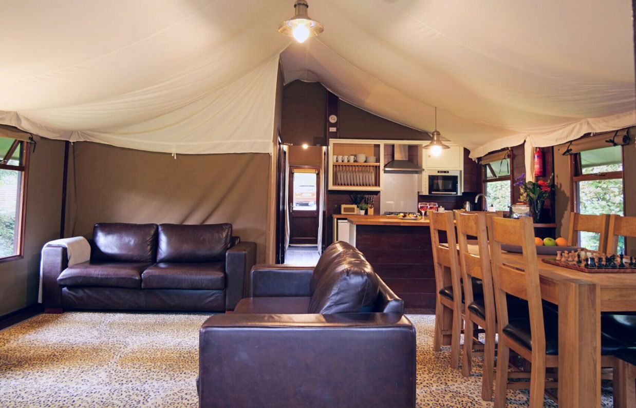 Internal of safari tent open plan living space