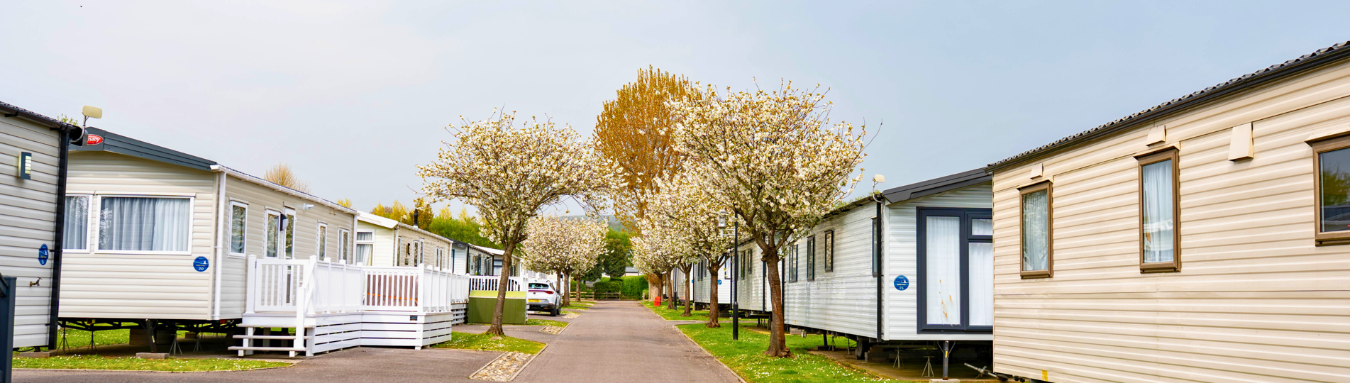 A row of caravans at a holiday park
