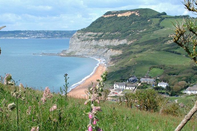The highest point on the Jurassic Coast - Golden Cap