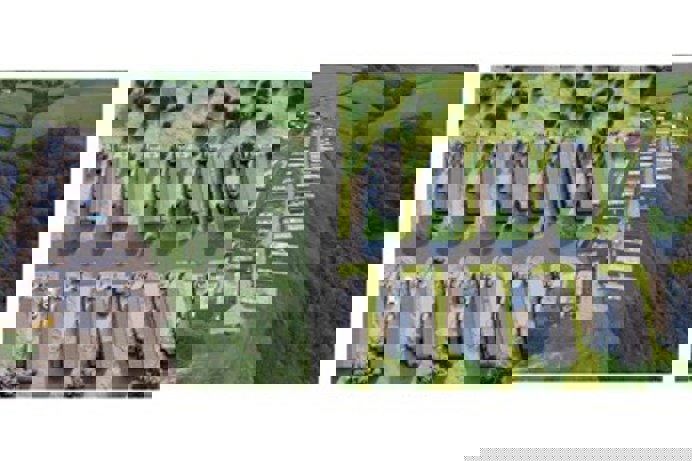 A development before and after on a holiday park