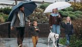 A family of four walking in the rain with umbrellas and a dalmatian