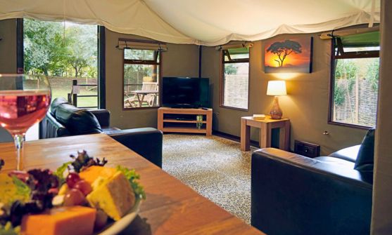 Internal of safari tent open plan lounge