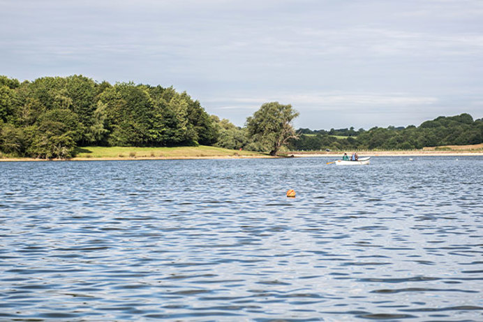 A large body of water with people kayaking surrounded by woodland