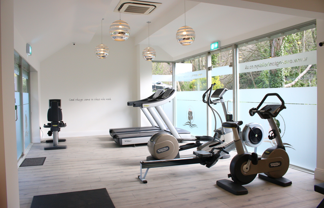 An indoor gym with various cardio equipment and woodland views