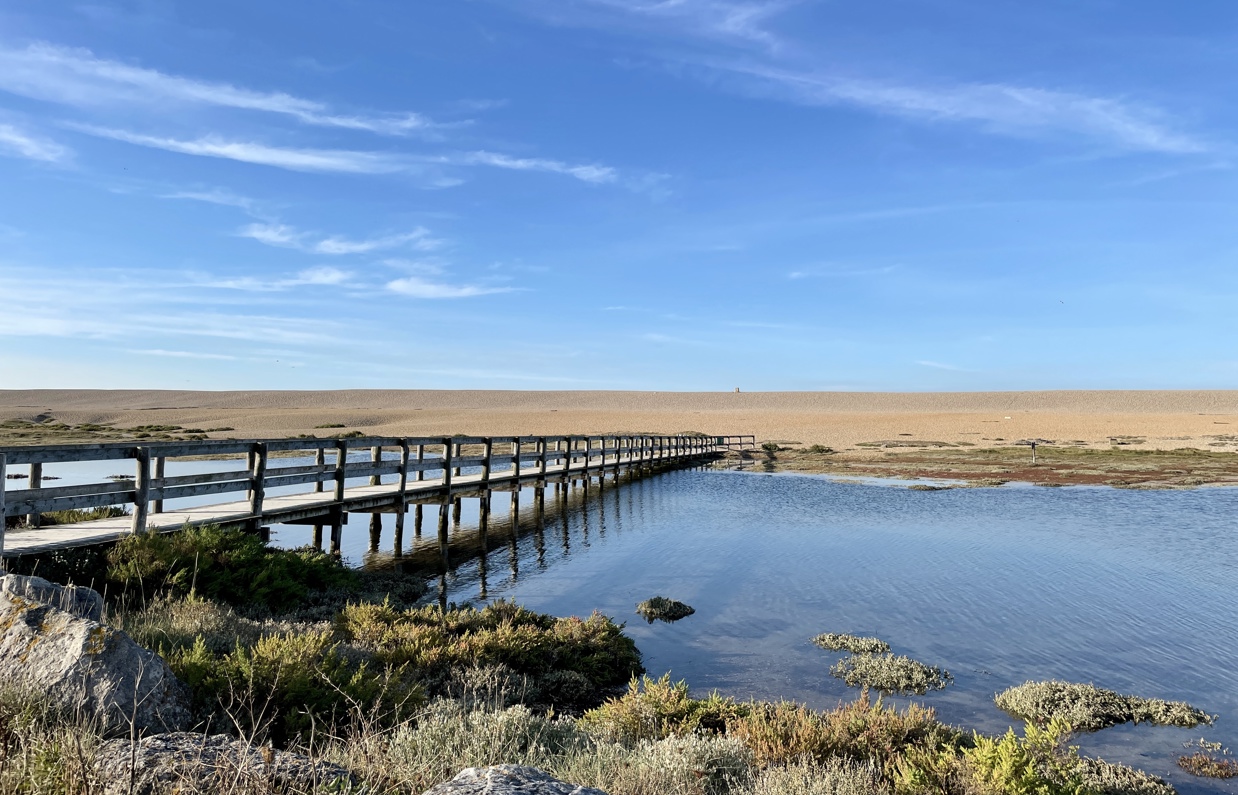 The view of Chesil Beach and the coast path 