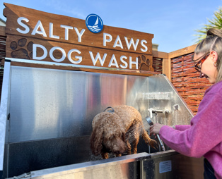 A light brown fluffy dog at a dog wash station being rinsed off by a young girl