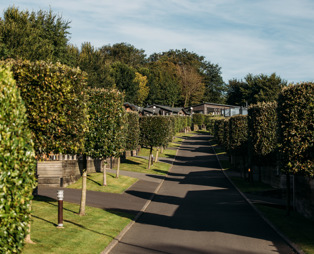 A road on a lodge park with trees and lodges on a sunny, blue sky day
