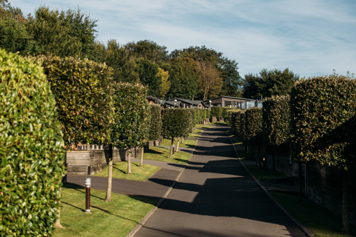 A road on a lodge park with trees and lodges on a sunny, blue sky day