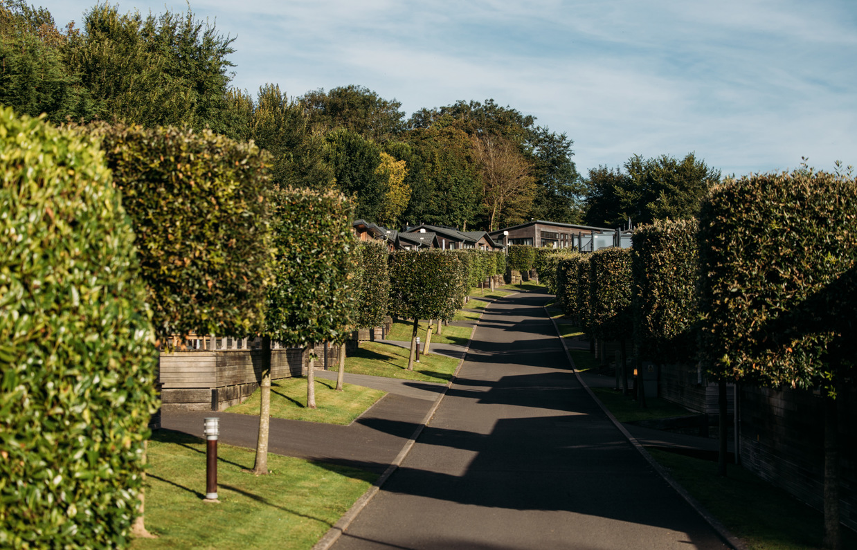 A road on a lodge park with trees and lodges on a sunny, blue sky day