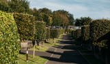 A road on a lodge park with trees and lodges on a sunny, blue sky day