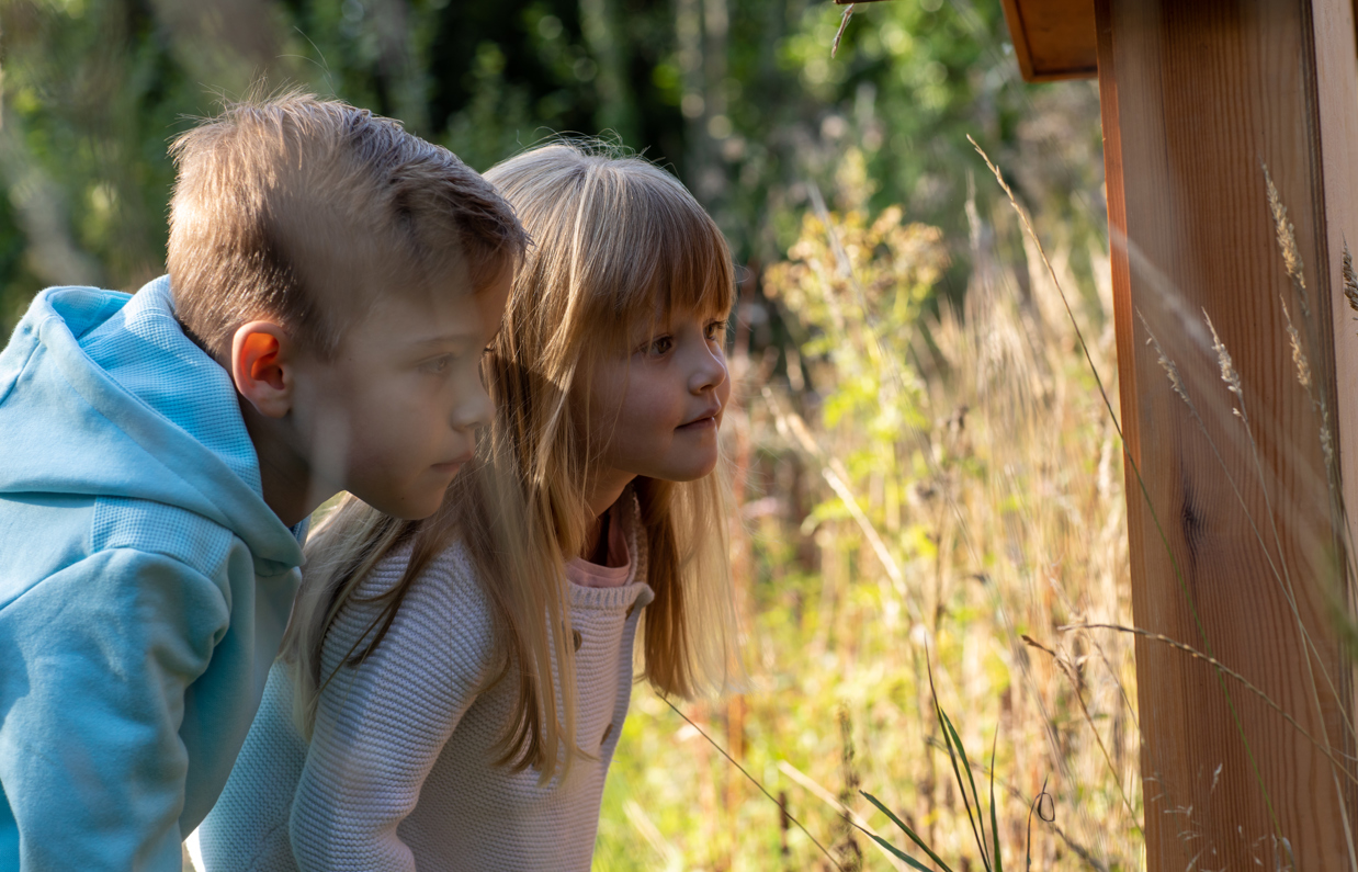 A young boy and girl looking for wildlife among woodland