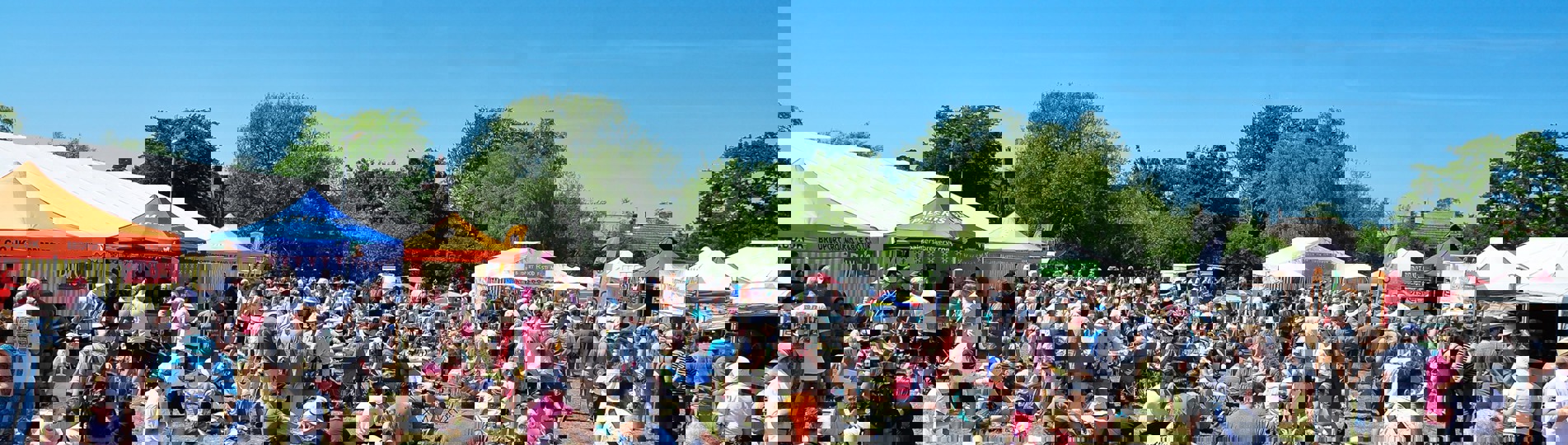 A field on a sunny day with multiple food stands and a crowd of people