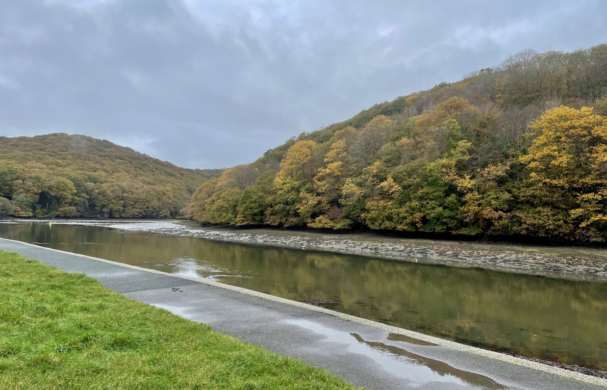 A calm body of water with a footpath alongside and forest in the background