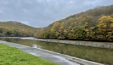 A calm body of water with a footpath alongside and forest in the background