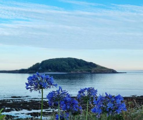 View of Looe Island