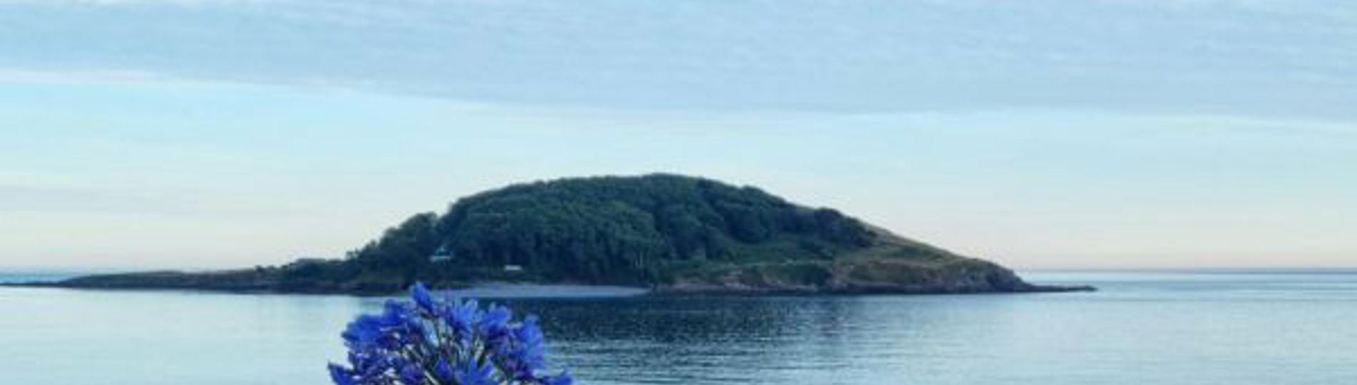 View of Looe Island