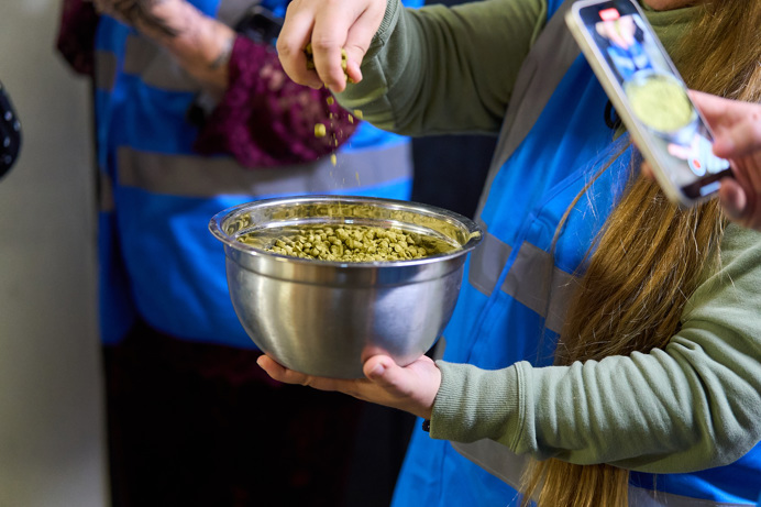 A tour of a brewery with a group of people looking at one of the ingredients
